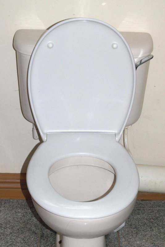 Picture of Toilet_Seat