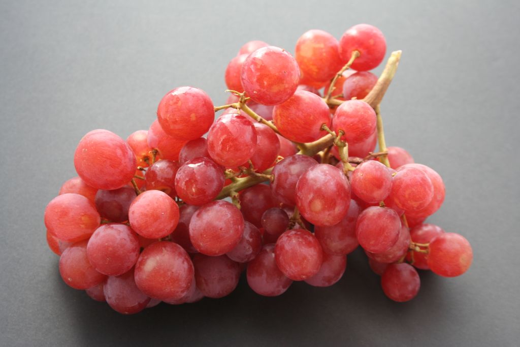 Picture of Grape