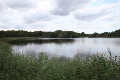 Picture of Lake