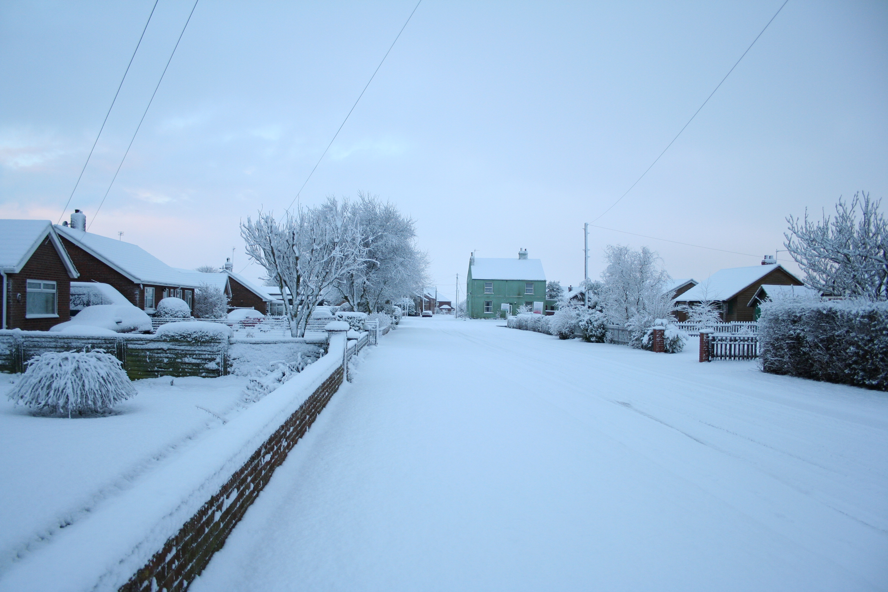 Picture of Snow