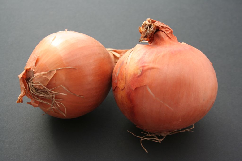 Picture of Onion